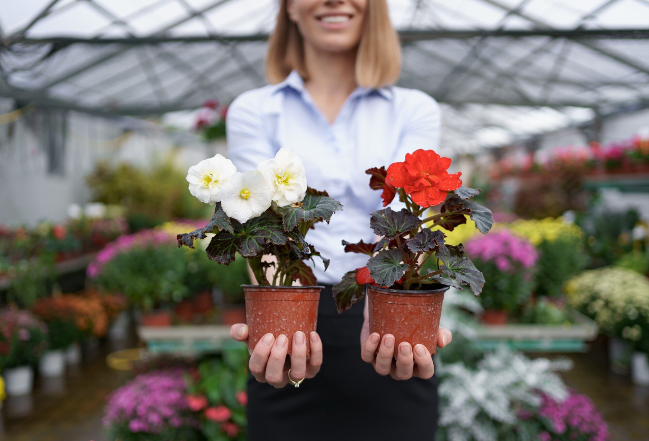 Annuals