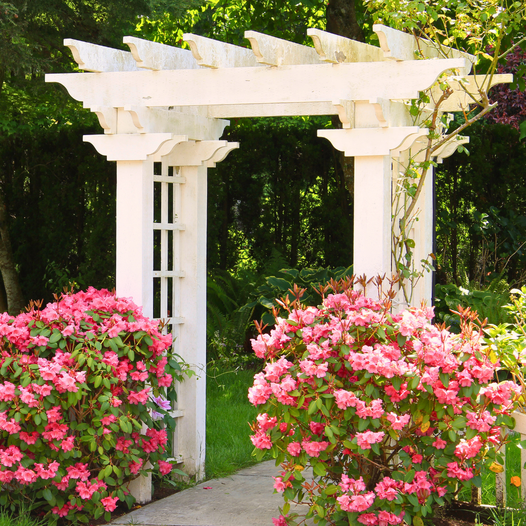 Rentals & Registry
