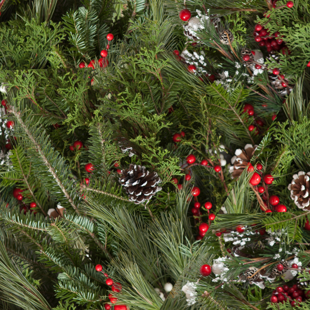 Hands-On Kissing Ball Decorating Workshop - Black Forest Nursery Online