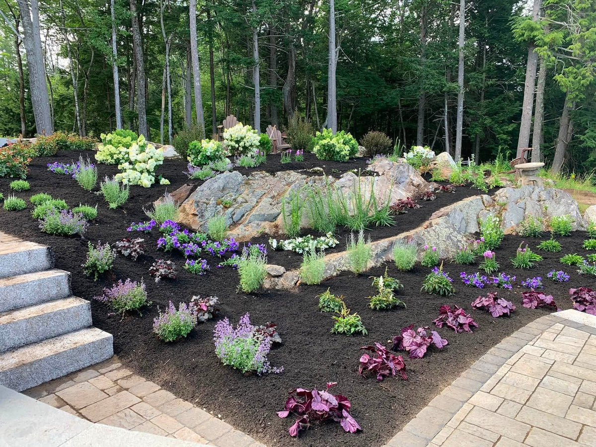 Meet with us at the Nursery