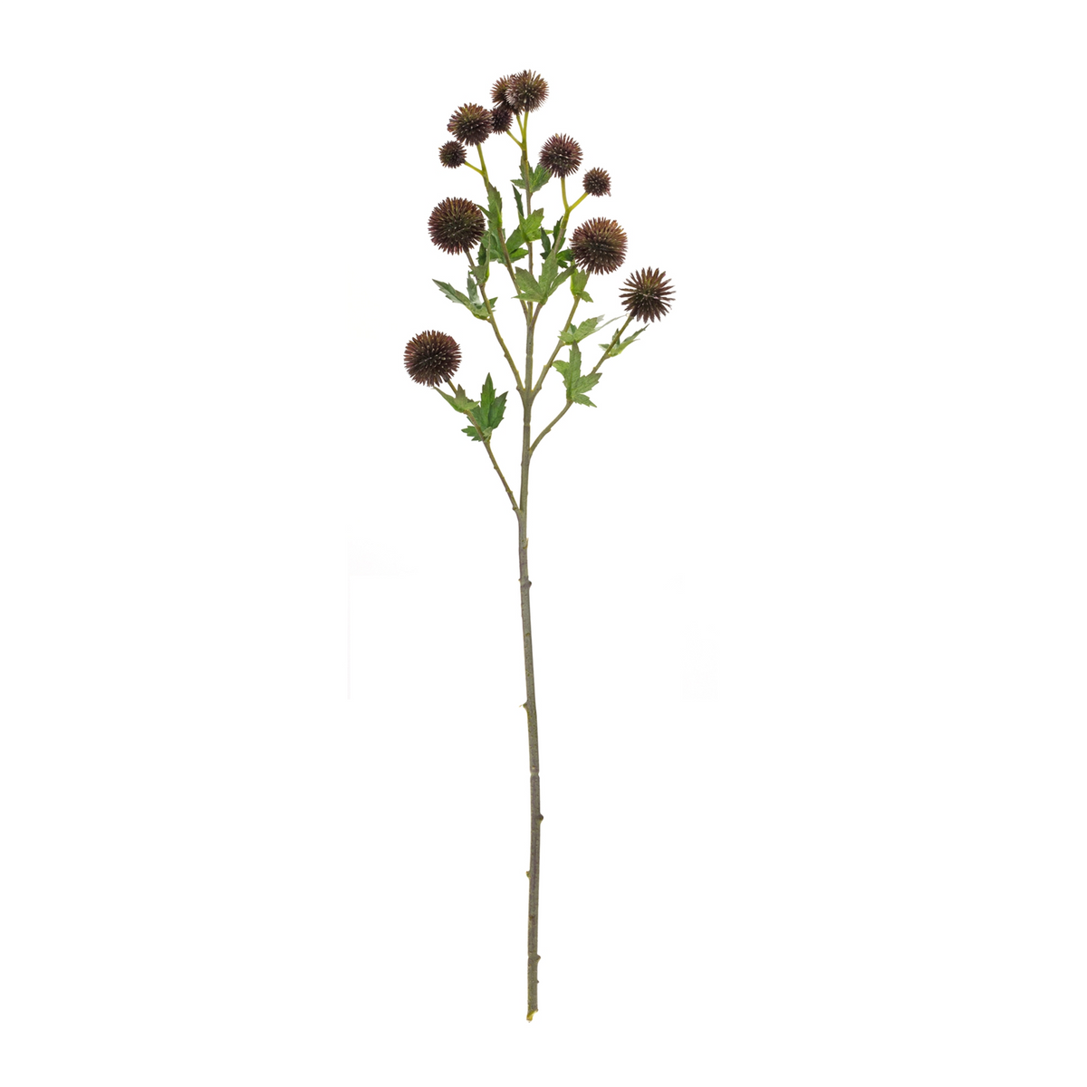 Allium Spray (Set of 6) 26”H Plastic/Polyester