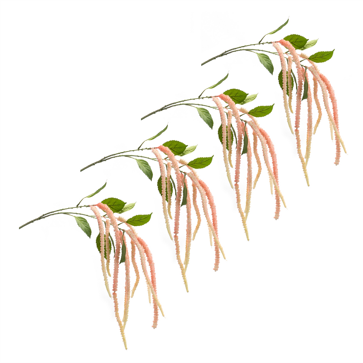 Amaranthus Floral Stem (Set of 4)