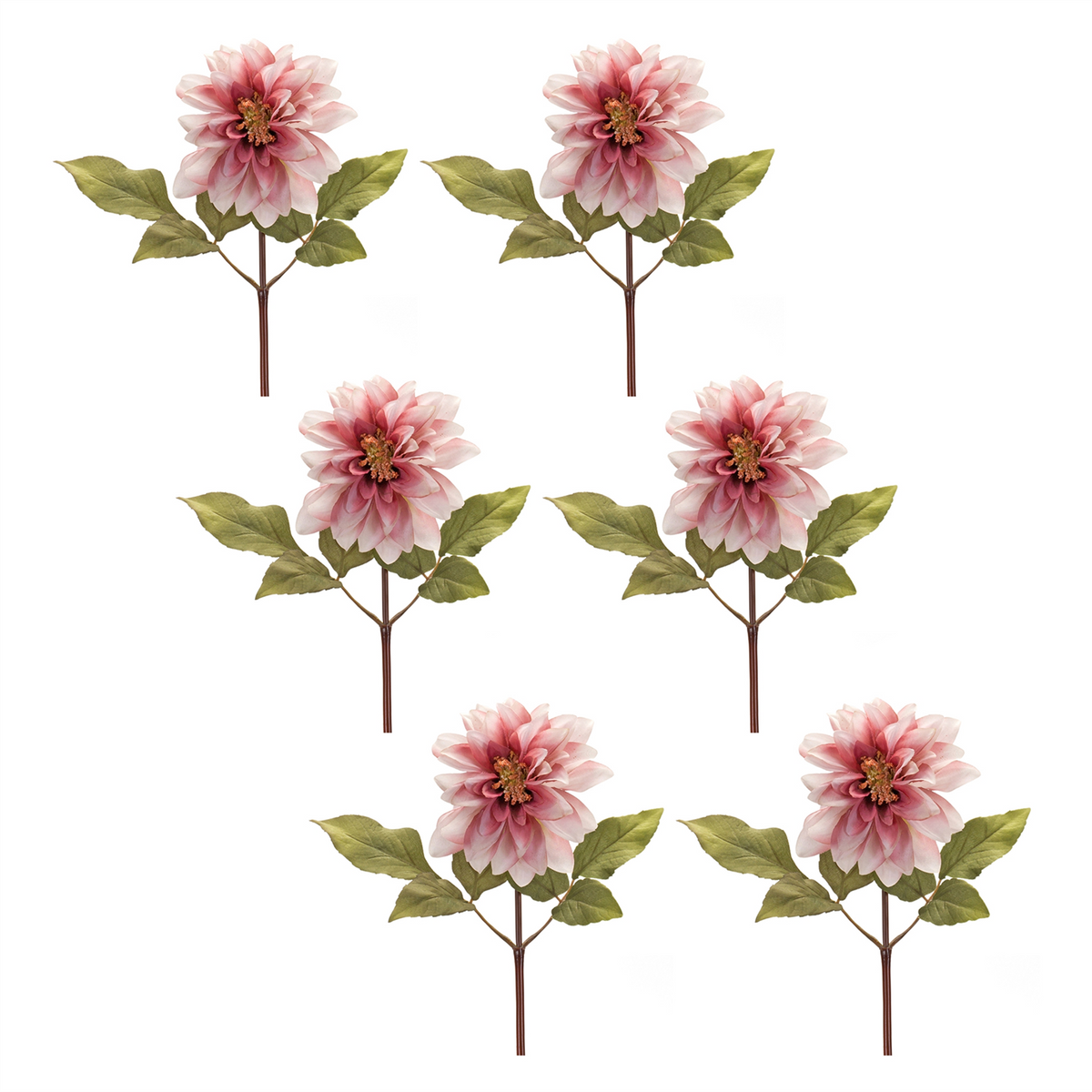 Blush Pink Dahlia Flower Stem (Set of 6)