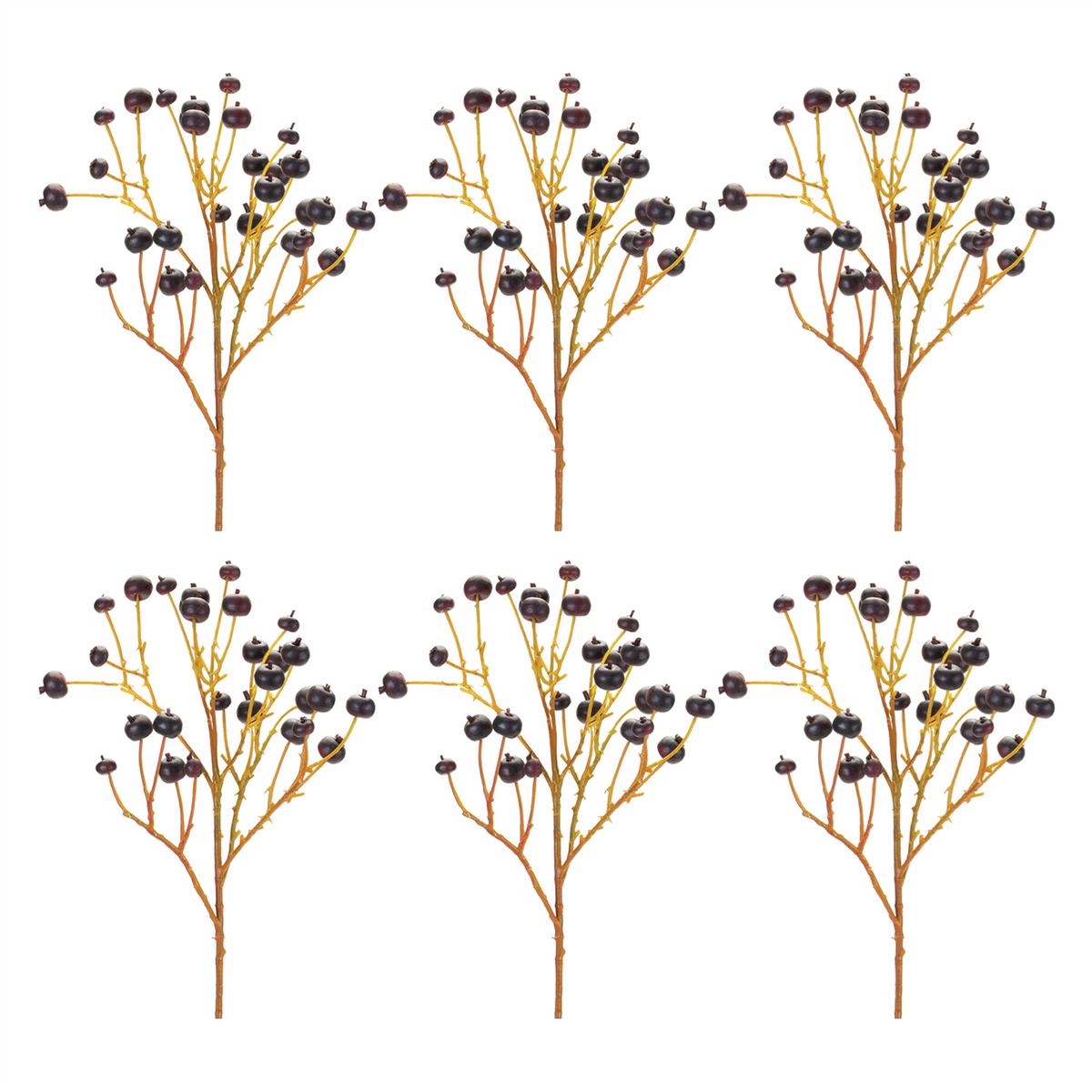 Blue Berry Spray (Set of 6)