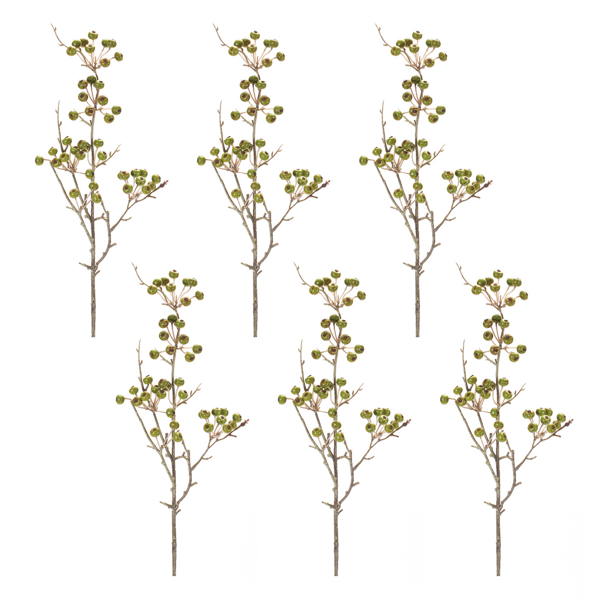Winter Berry Pod Spray (Set of 12)