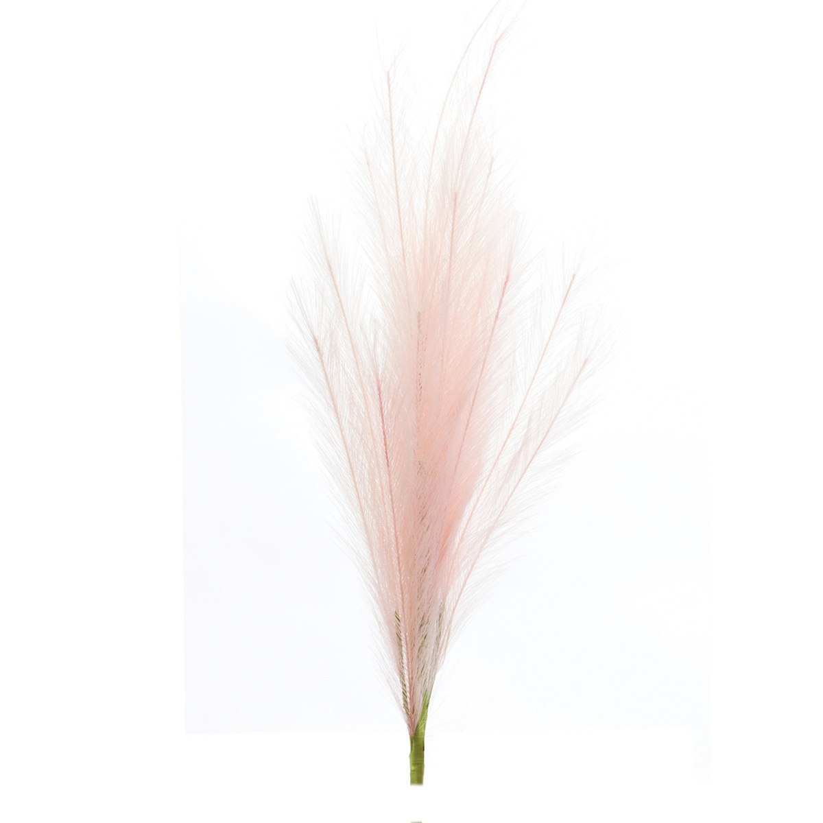 Assorted Pink Plume Spray (Set of 3)