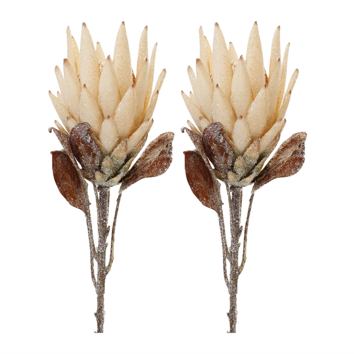 Beige Protea Flower Stem (Set of 2)