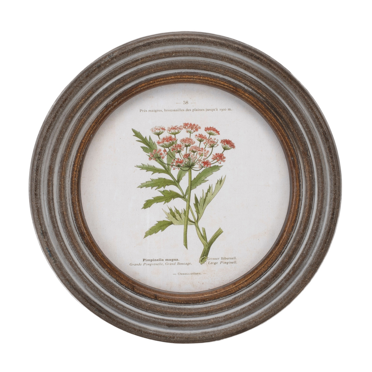 Round Framed Floral Print (Set of 6)