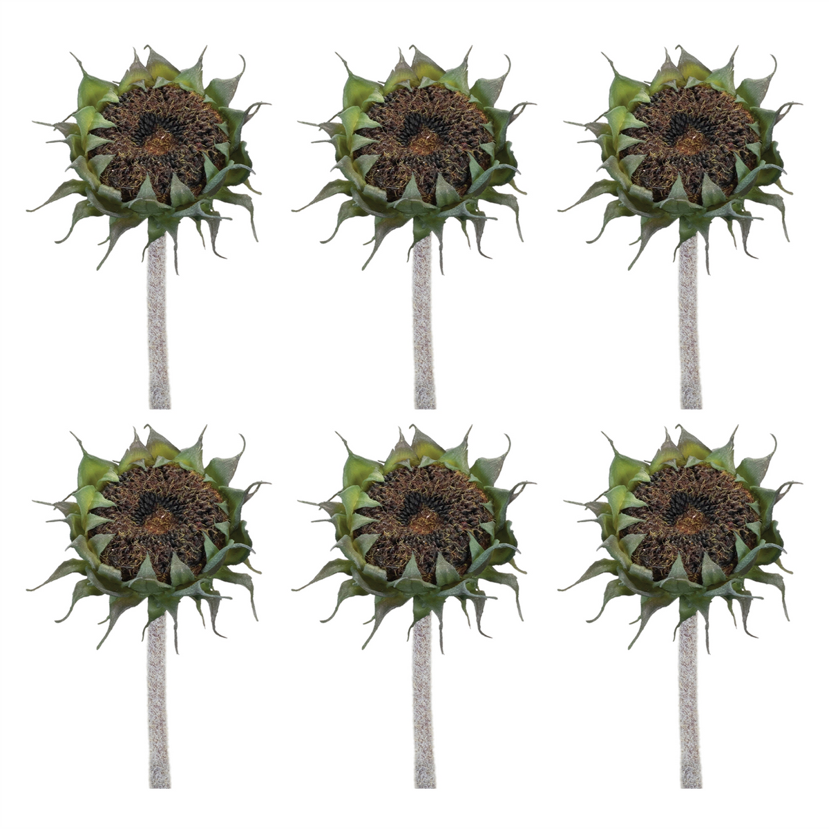 Brown Sunflower Stem (Set of 6)