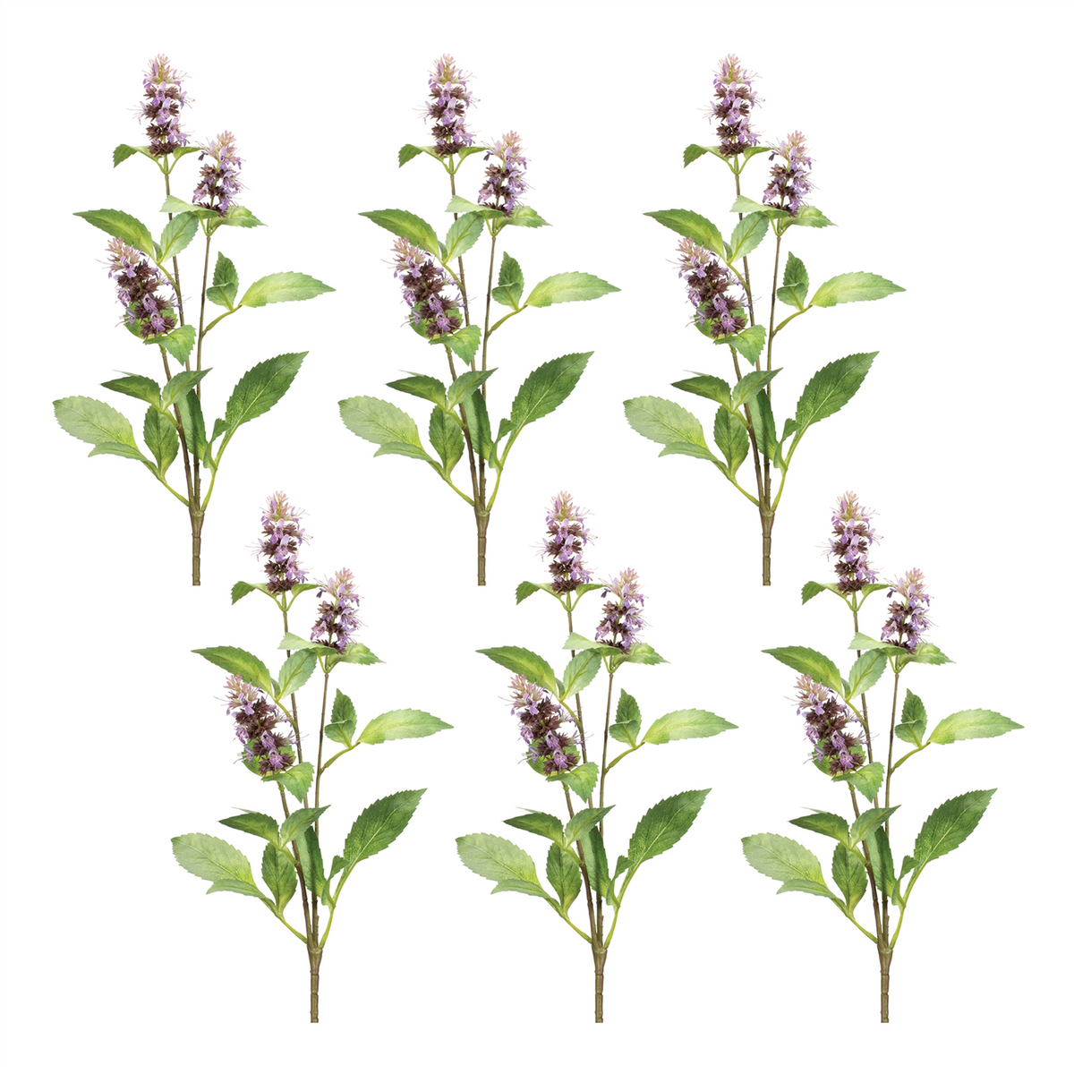 Buddleia Floral Stem (Set of 6)