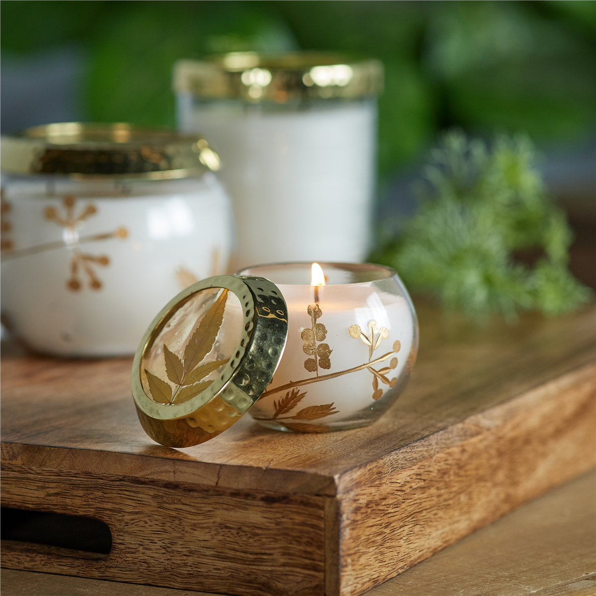 Frosted Juniper Scented Soy Candle with Pressed Leaf Lid (Set of 3)