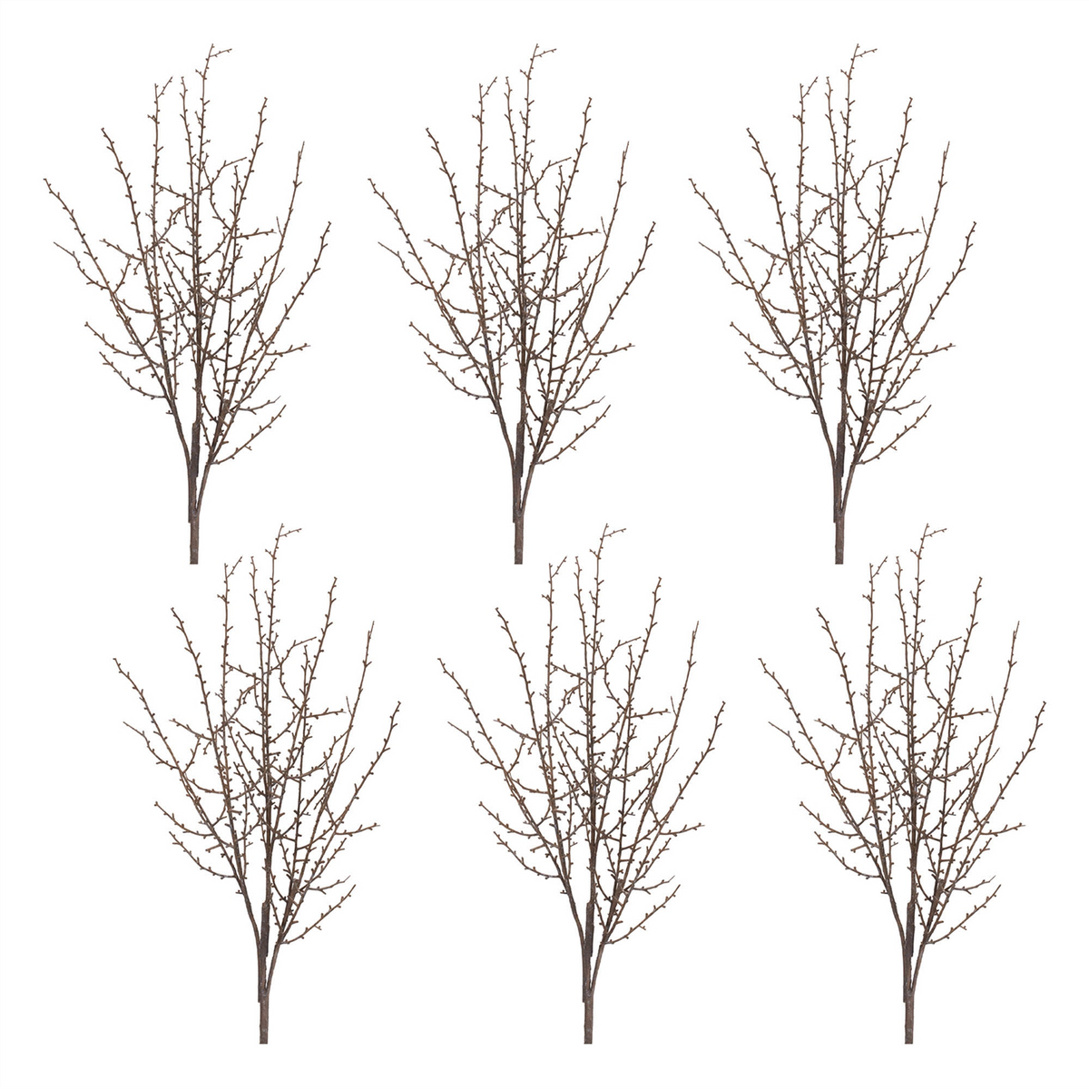 Birch Twig Branch (Set of 6)