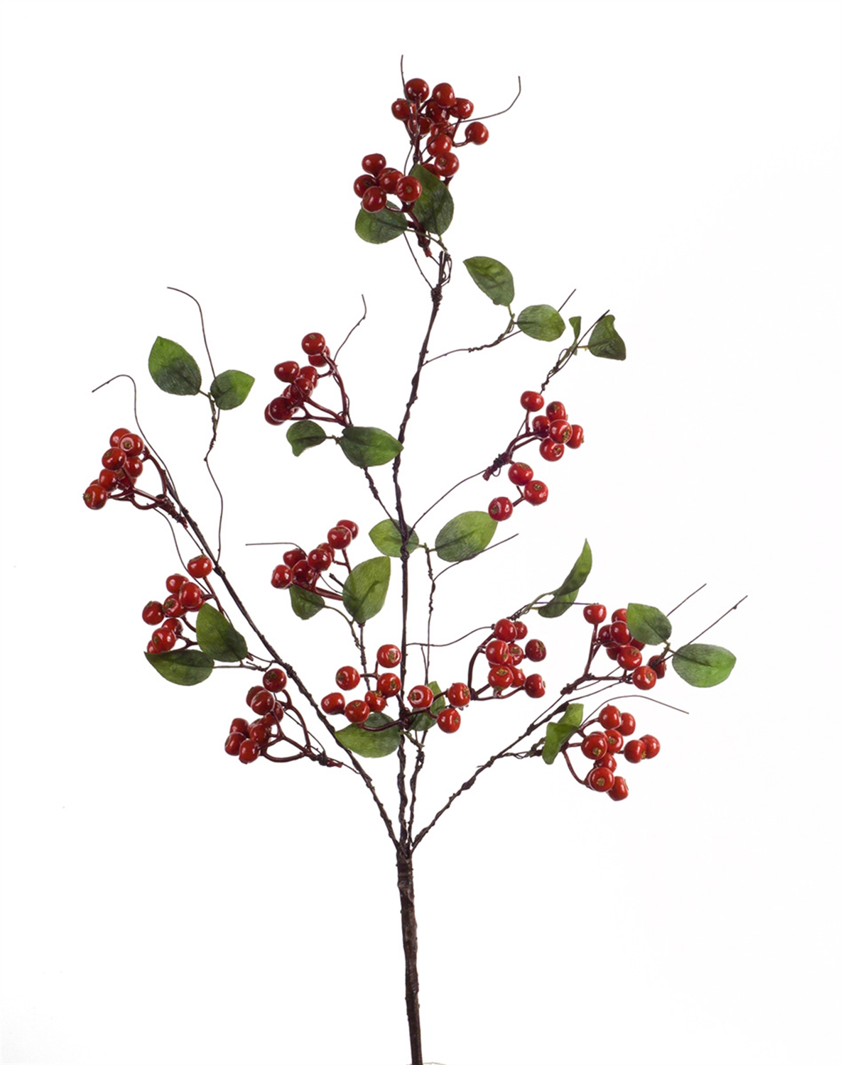 Boxwood Berry Twig Spray (Set of 12)