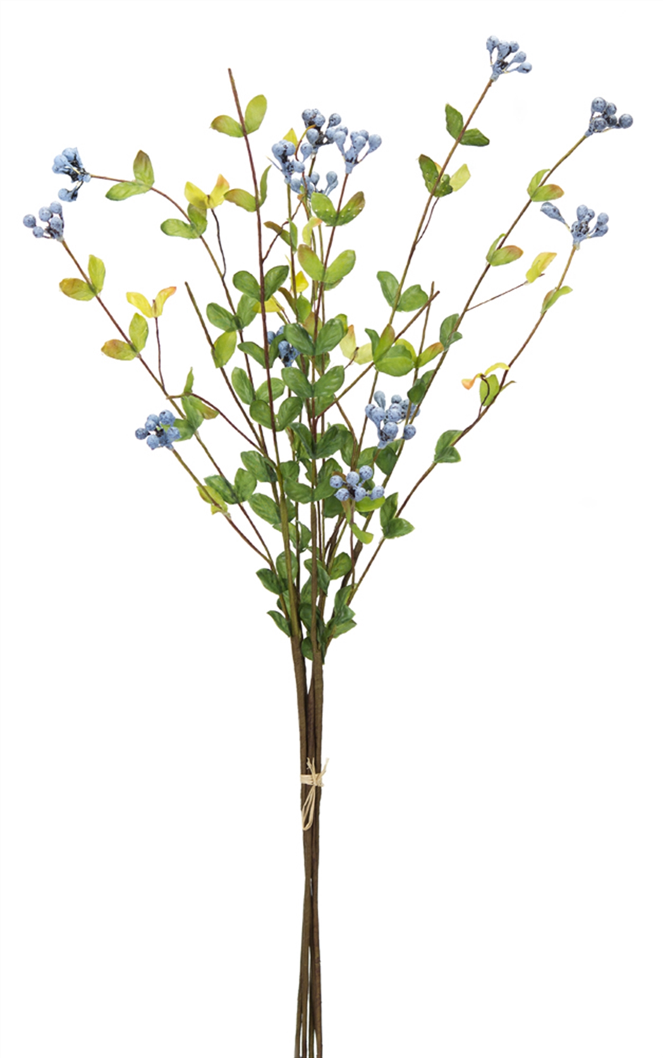 Blue Berry Foliage Spray (Set of 12)
