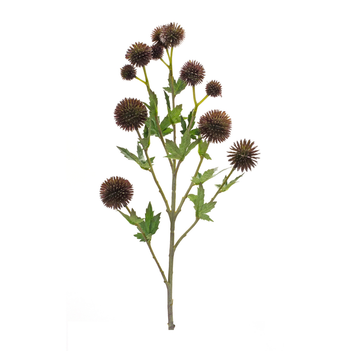 Allium Spray (Set of 6) 26”H Plastic/Polyester