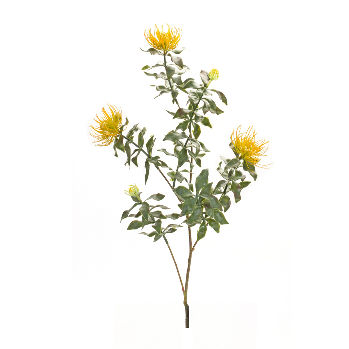 Yellow Flocked Protea Spray (Set of 6)