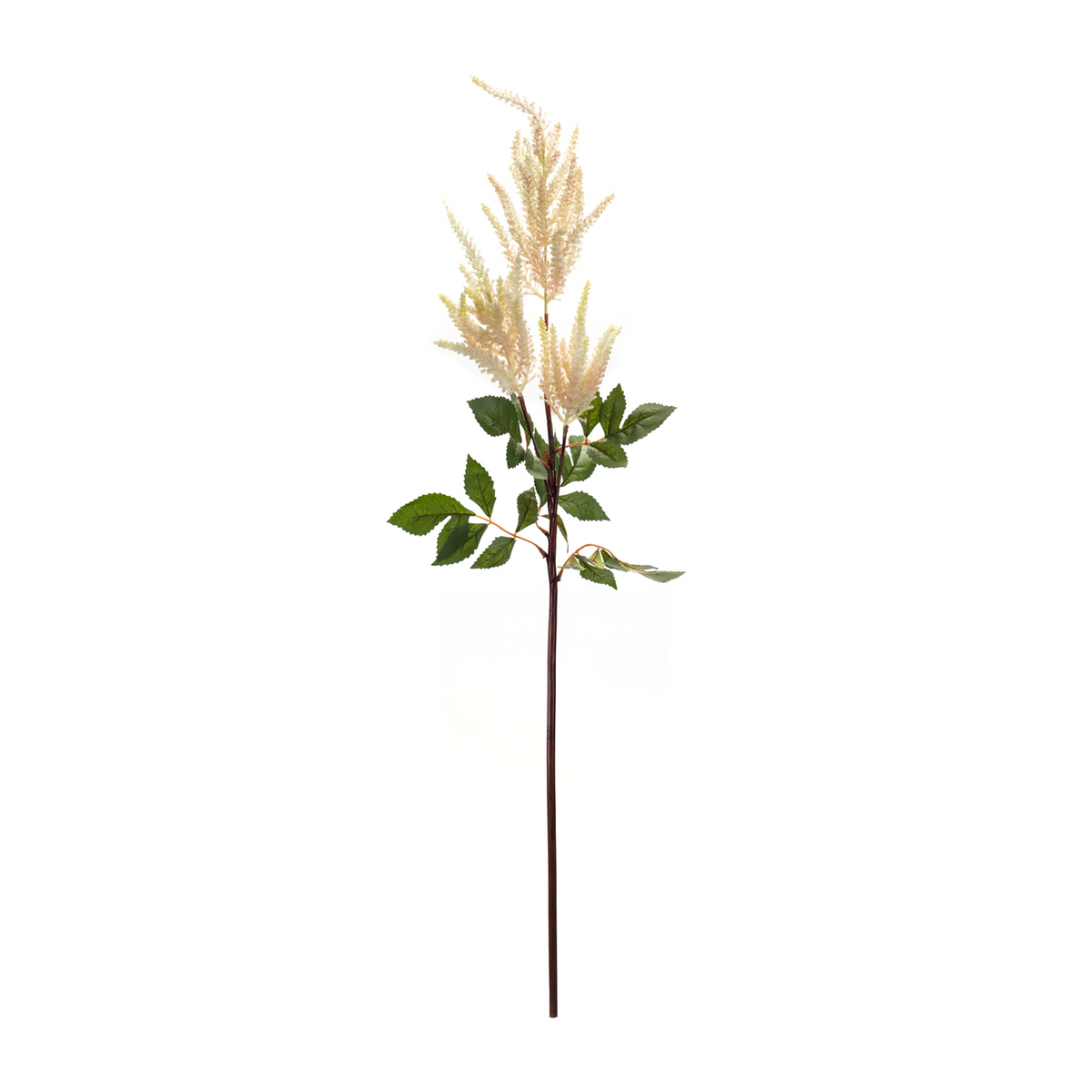 Astilbe Spray (Set of 4) 39"H Plastic/Flocking