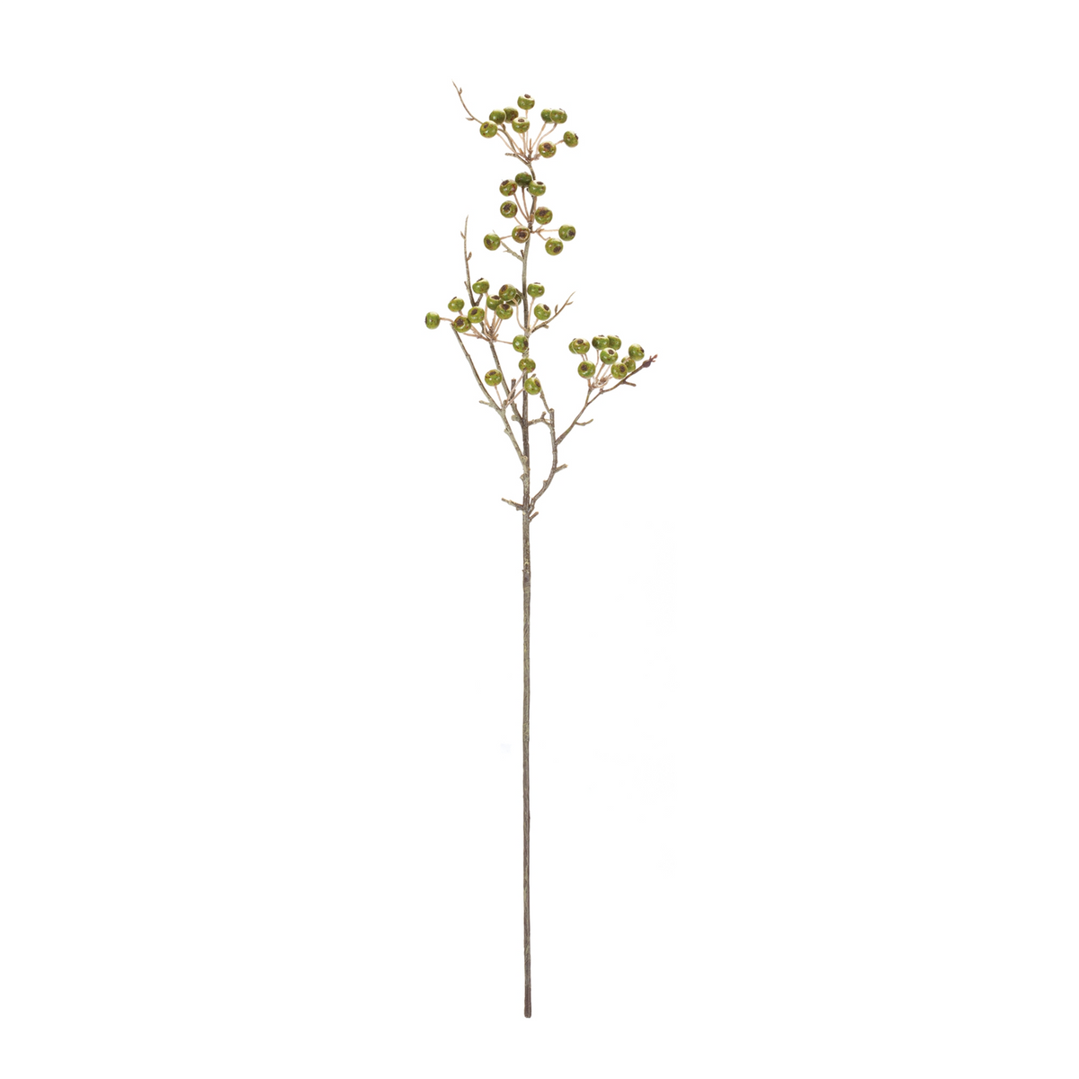 Winter Berry Pod Spray (Set of 12)