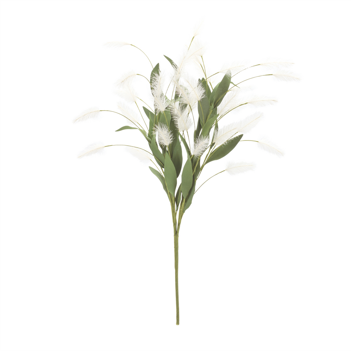 White Plume Bush (Set of 2)