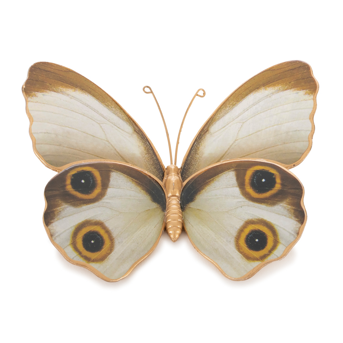 Amber Butterfly and Moth Shelf Sitter (Set of 2)