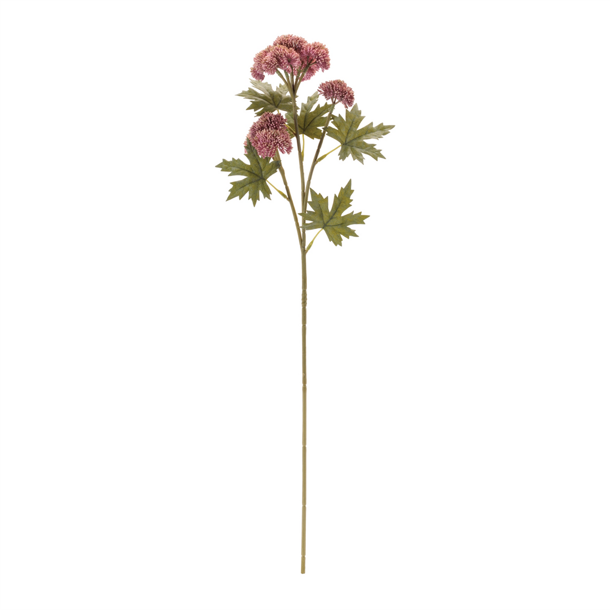 Sedum Succulent Spray (Set of 6)
