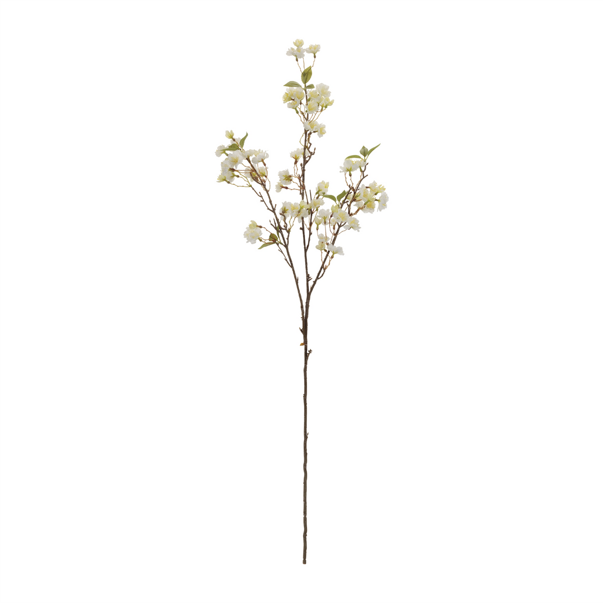 Blossom Floral Branch (Set of 4)