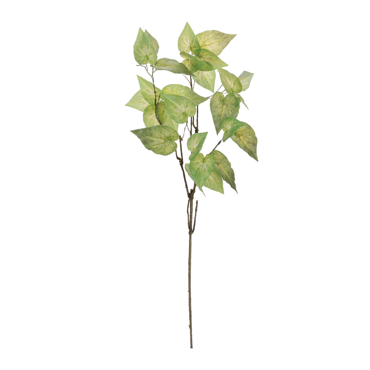 Anthurium Leaf Branch (Set of 4)