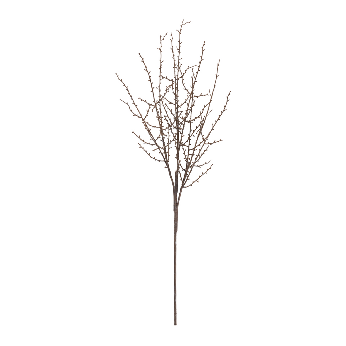Birch Twig Branch (Set of 6)