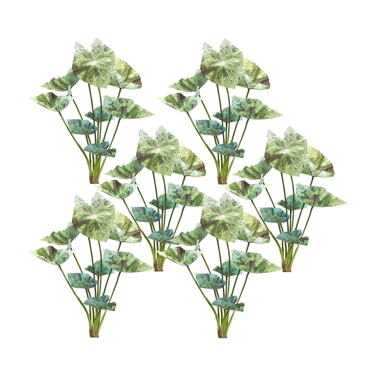 Caladium Bush (Set of 6) 18.5”H Polyester