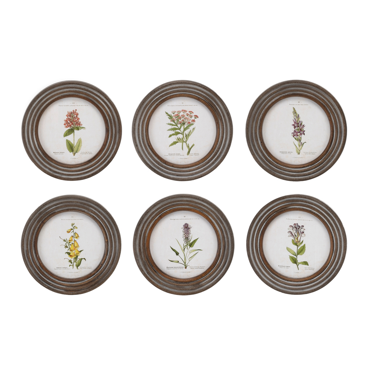 Round Framed Floral Print (Set of 6)