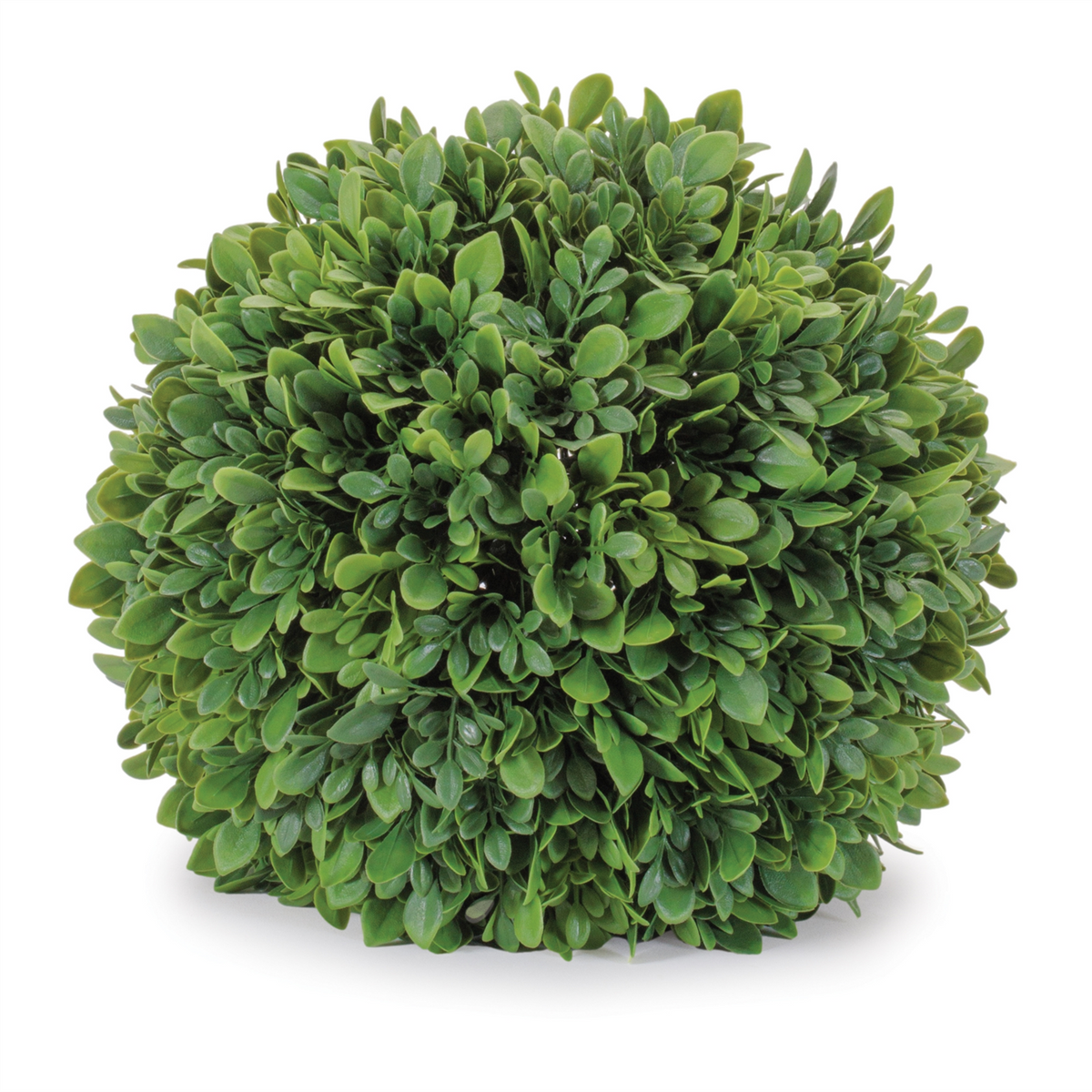 Boxwood Foliage Orb (Set of 2)