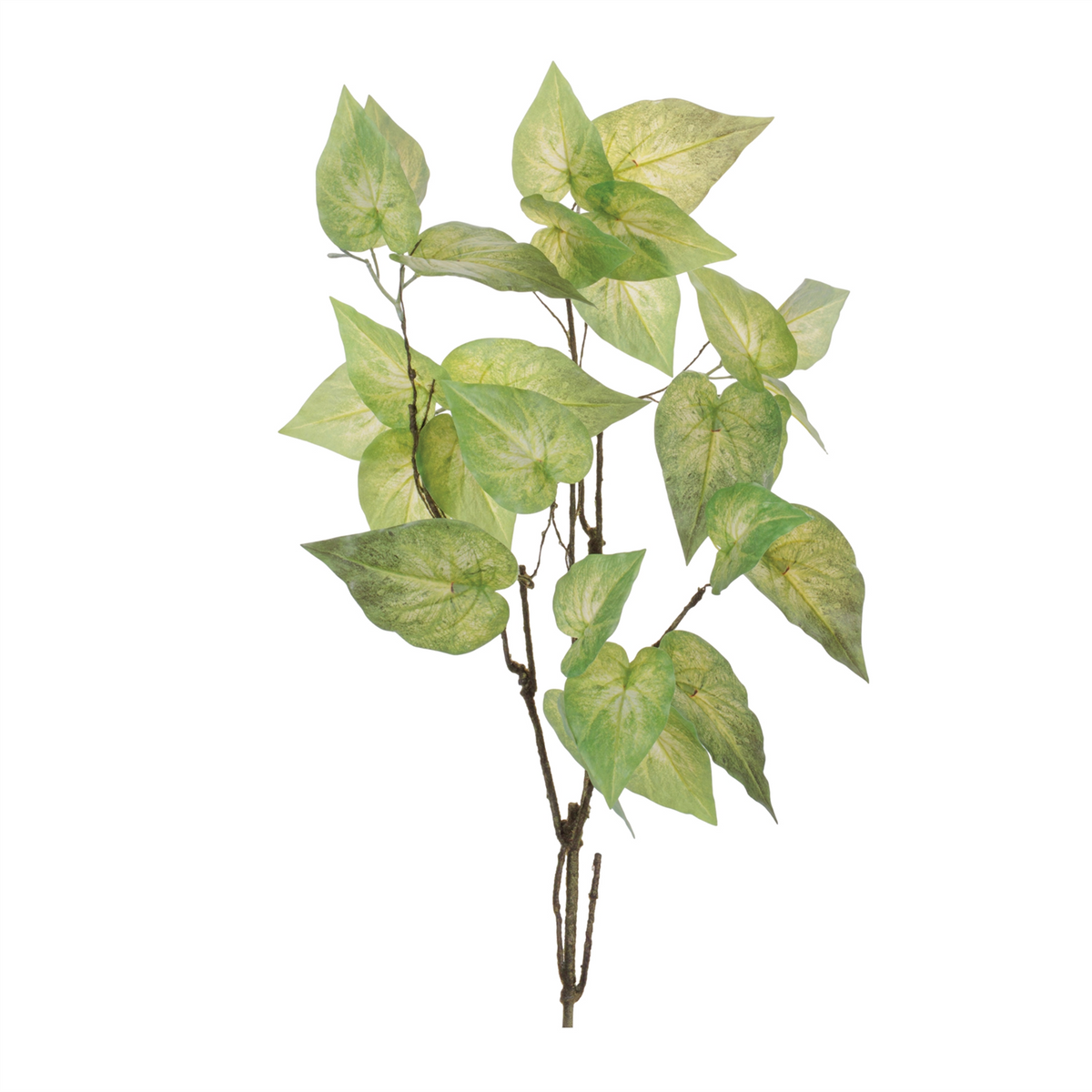 Anthurium Leaf Branch (Set of 4)