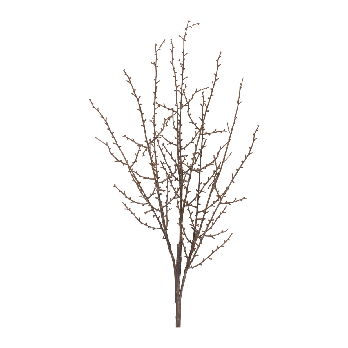 Birch Twig Branch (Set of 6)
