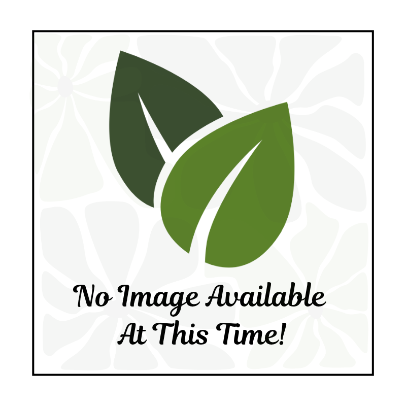 Product Default Image